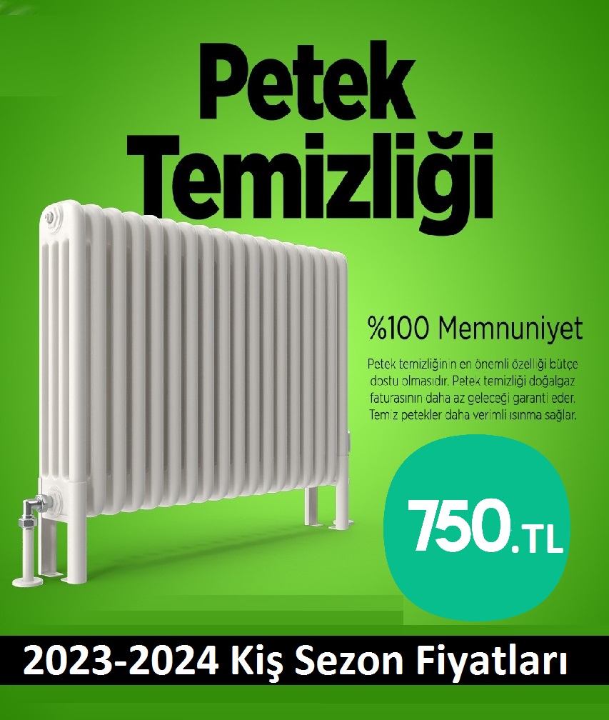 Şile Petek Temizliği Tek Fiyat Teklifi Al